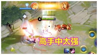 教官爆料凤求凰视频,凤求凰视频背后的惊人真相  第3张